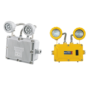 Explosion proof emergency light